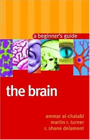 The Brain - A Beginner's Guide